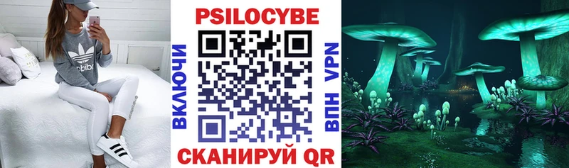 Галлюциногенные грибы ЛСД omg сайт Кемь дарнет шоп
